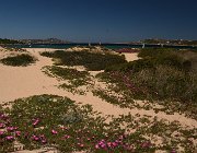 2022 Sardegna 2687