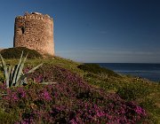 2022 Sardegna 2845