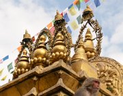 2023 2024 Gokyo 0637