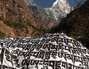 2023 2024 Gokyo 1664