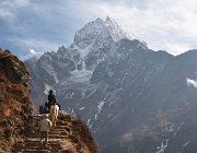 2023 2024 Gokyo 2050