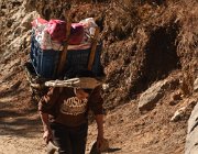 2023 2024 Gokyo 2283