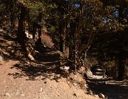 2023 2024 Gokyo 2395
