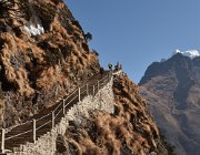 2023 2024 Gokyo 2402