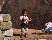 2023 2024 Gokyo 2480