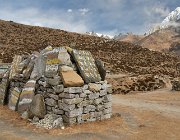 2023 2024 Gokyo 2824