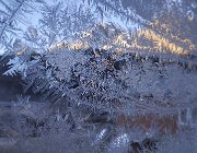 2023 2024 Gokyo 2858
