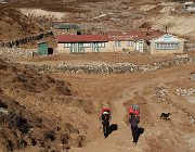 2023 2024 Gokyo 3335