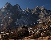 2023 2024 Gokyo 3421