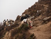2023 2024 Gokyo 3469