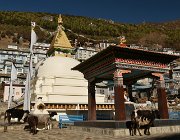 2023 2024 Gokyo 3498