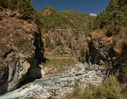 2023 2024 Gokyo 3528