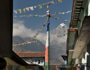 2023 2024 Gokyo 3703
