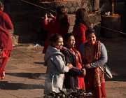 2023 2024 Gokyo 4204