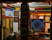 2023 2024 Gokyo 4247