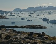 2023 Groenlandia 0830