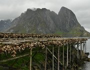 2023 Lofoten 0283