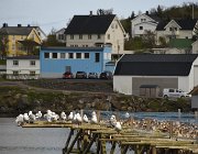 2023 Lofoten 0613