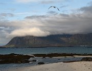 2023 Lofoten 0733