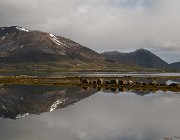2023 Lofoten 1267