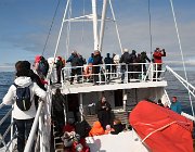 2023 Lofoten 1303