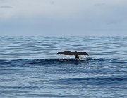 2023 Lofoten 1370