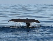 2023 Lofoten 1370