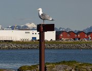 2023 Lofoten 1431