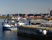 2023 Lofoten 1451