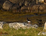 2023 Lofoten 1628