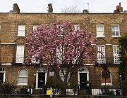2023 Londra 0140