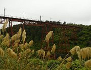 2024 2025 Nuova Zelanda 0544