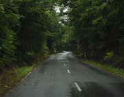 2024 2025 Nuova Zelanda 0548