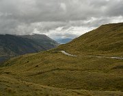 2024 2025 Nuova Zelanda 1491