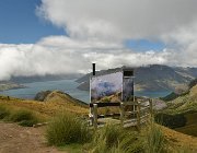 2024 2025 Nuova Zelanda 1681