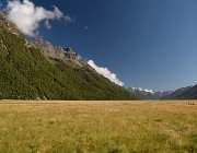 2024 2025 Nuova Zelanda 1844
