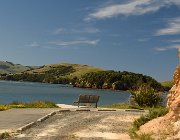 2024 2025 Nuova Zelanda 2671