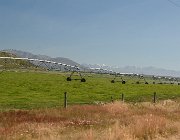 2024 2025 Nuova Zelanda 3058