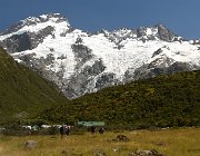 2024 2025 Nuova Zelanda 3185