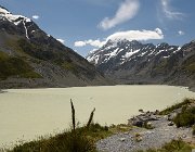 2024 2025 Nuova Zelanda 3274