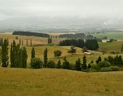 2024 2025 Nuova Zelanda 3369