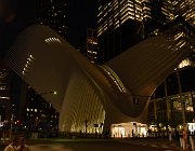 2024 NewYork Washington 0988