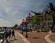 2024 NewYork Washington 2228