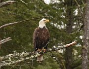 2025 New England 0712