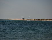 2025 New England 2768