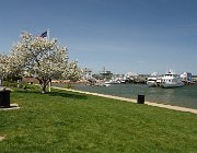 2025 New England 3035