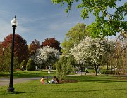 2025 New England 3069