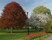 2025 New England 3076