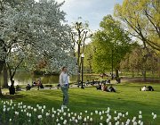 2025 New England 3078