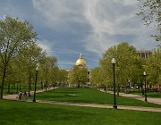 2025 New England 3349